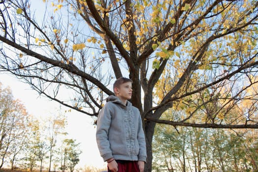 A boy are playing with yellow autumn leaves under a tree in the garden .