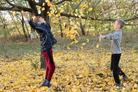Two boys are playing with yellow autumn leaves under a tree in the garden .