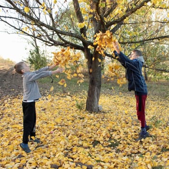 Two boys are playing with yellow autumn leaves under a tree in the garden .