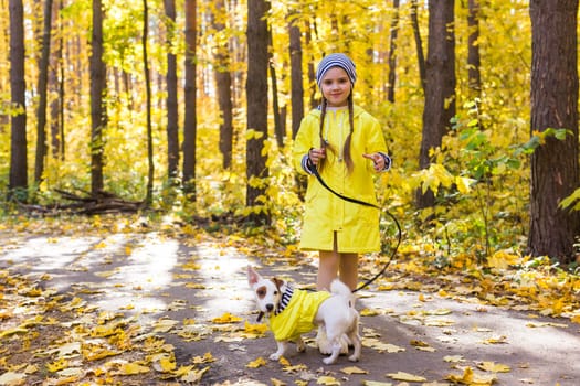Portrait of a little girl on a background of orange and yellow leaves in an autumnal sunny day. Little puppy jack russell terrier. Pet and child concept.