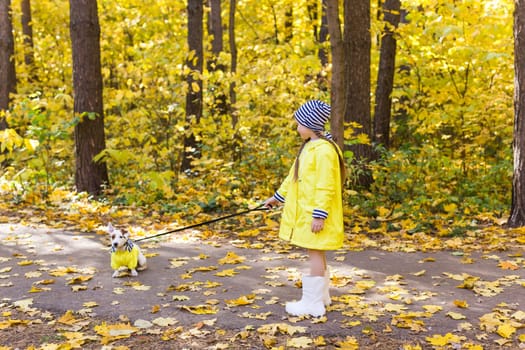 Portrait of a little girl on a background of orange and yellow leaves in an autumnal sunny day. Little puppy jack russell terrier. Pet and child concept.