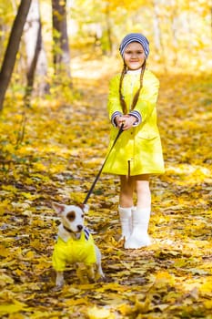 Girl with a dog jack russell terrier. Child, childhood, friendship and pet concept. Small dog walking in the autumn park.