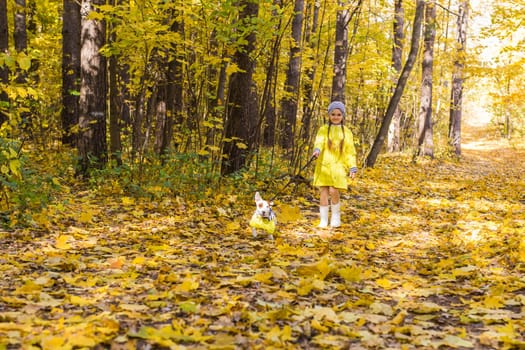 Portrait of a little girl on a background of orange and yellow leaves in an autumnal sunny day. Little puppy jack russell terrier. Pet and child concept.
