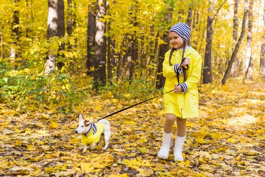 Child playing in autumn park with a jack russell terrier. Kid and jack russell dog.