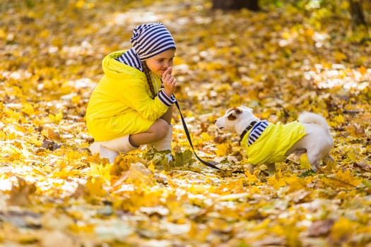 girl playing with her dog in autumn forest. Child and jack russell terrier dog.
