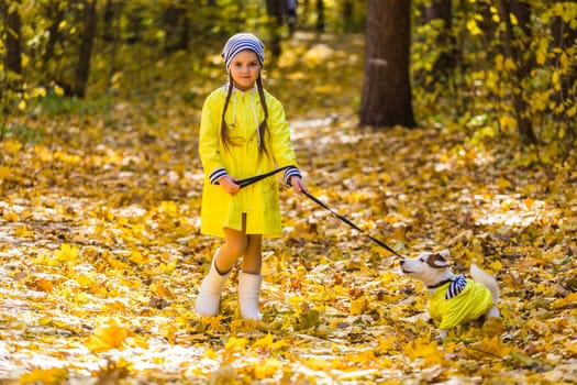 Portrait of a little girl on a background of orange and yellow leaves in an autumnal sunny day. Little puppy jack russell terrier. Pet and child concept.