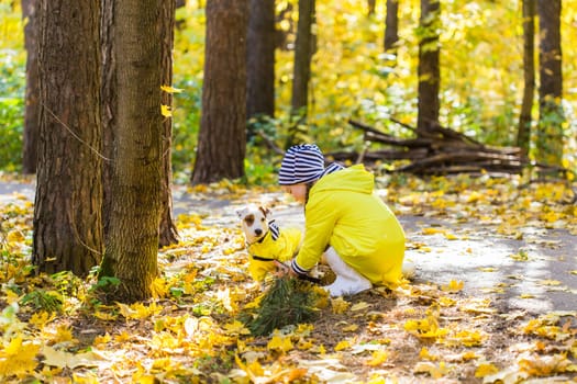 Child girl with dog outdoors. Kid with pet at autumn. Jack russell terrier puppy