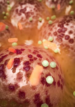 This 3D visualization illustrates the imbalance in gut flora caused by a lack of dietary fiber, highlighting the spread of Akkermansia muciniphila
