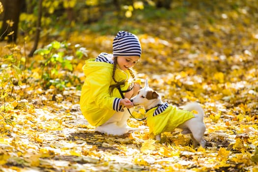 Girl with a dog jack russell terrier. Child, childhood, friendship and pet concept. Small dog walking in the autumn park.