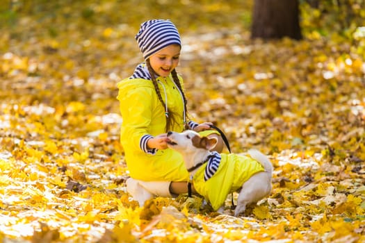 girl playing with her dog in autumn forest. Child and jack russell terrier dog.