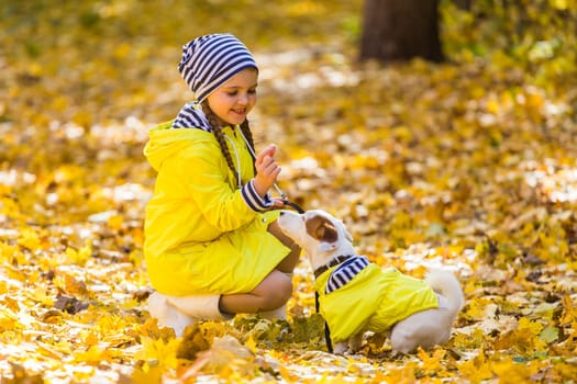 Girl with a dog jack russell terrier. Child, childhood, friendship and pet concept. Small dog walking in the autumn park.