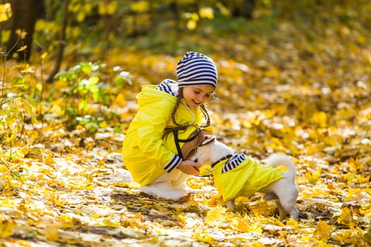 girl playing with her dog in autumn forest. Child and jack russell terrier dog.