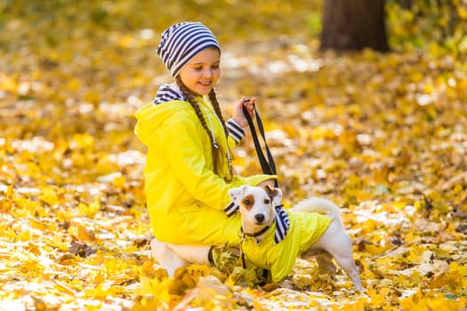 Portrait of a little girl on a background of orange and yellow leaves in an autumnal sunny day. Little puppy jack russell terrier. Pet and child concept.