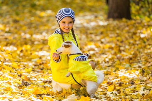 Child playing in autumn park with a jack russell terrier. Kid and jack russell dog.