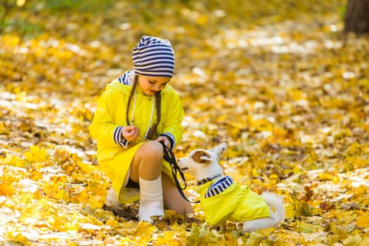 Girl with a dog jack russell terrier. Child, childhood, friendship and pet concept. Small dog walking in the autumn park.