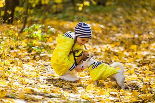 Child playing in autumn park with a jack russell terrier. Kid and jack russell dog.