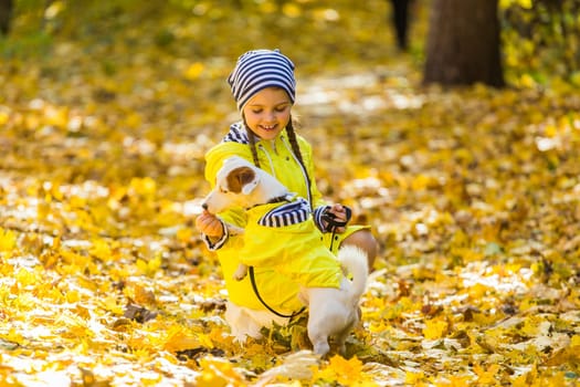 Portrait of a little girl on a background of orange and yellow leaves in an autumnal sunny day. Little puppy jack russell terrier. Pet and child concept.