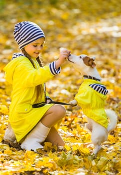 Portrait of a little girl on a background of orange and yellow leaves in an autumnal sunny day. Little puppy jack russell terrier. Pet and child concept.