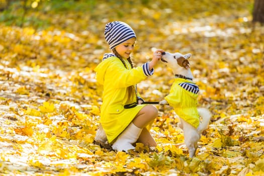Girl with a dog jack russell terrier. Child, childhood, friendship and pet concept. Small dog walking in the autumn park.