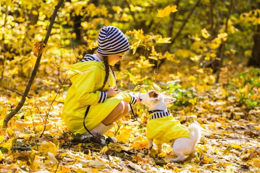 Child girl with dog outdoors. Kid with pet at autumn. Jack russell terrier puppy
