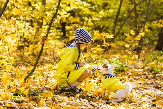Child playing in autumn park with a jack russell terrier. Kid and jack russell dog.