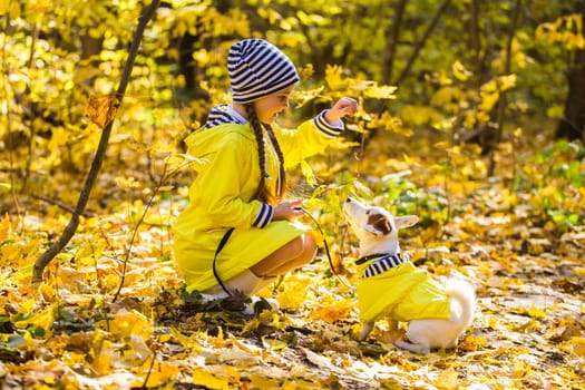 Girl with a dog jack russell terrier. Child, childhood, friendship and pet concept. Small dog walking in the autumn park.