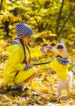 Child girl with dog outdoors. Kid with pet at autumn. Jack russell terrier puppy