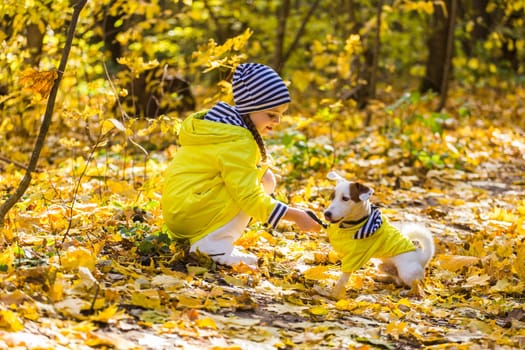 Girl with a dog jack russell terrier. Child, childhood, friendship and pet concept. Small dog walking in the autumn park.