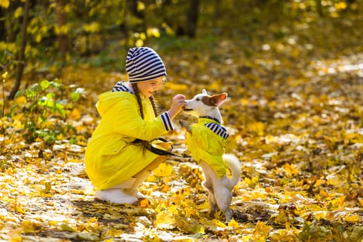Girl with a dog jack russell terrier. Child, childhood, friendship and pet concept. Small dog walking in the autumn park.