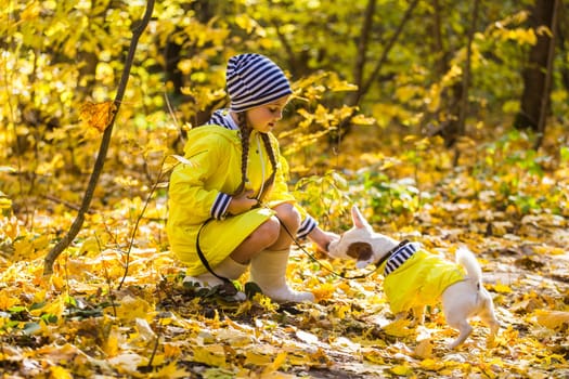girl playing with her dog in autumn forest. Child and jack russell terrier dog.