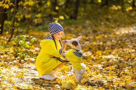 Child girl with dog outdoors. Kid with pet at autumn. Jack russell terrier puppy