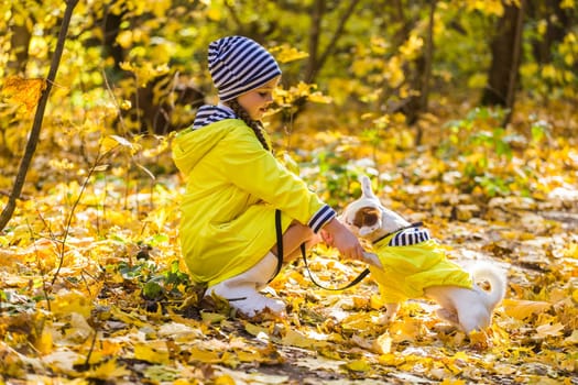 Child girl with dog outdoors. Kid with pet at autumn. Jack russell terrier puppy