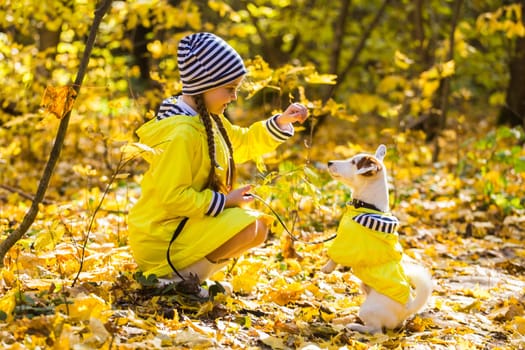 girl playing with her dog in autumn forest. Child and jack russell terrier dog.