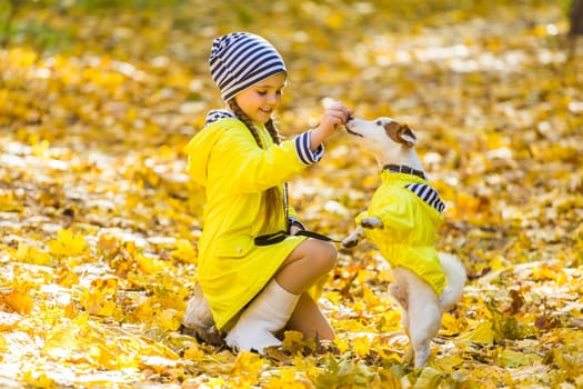 Child girl with dog outdoors. Kid with pet at autumn. Jack russell terrier puppy