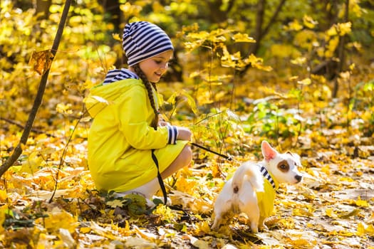 girl playing with her dog in autumn forest. Child and jack russell terrier dog.