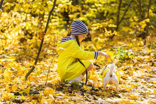 Girl with a dog jack russell terrier. Child, childhood, friendship and pet concept. Small dog walking in the autumn park.