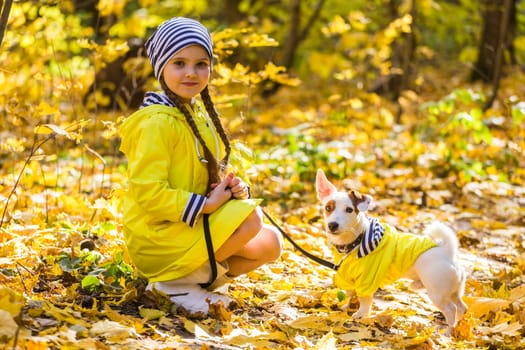 Portrait of a little girl on a background of orange and yellow leaves in an autumnal sunny day. Little puppy jack russell terrier. Pet and child concept.