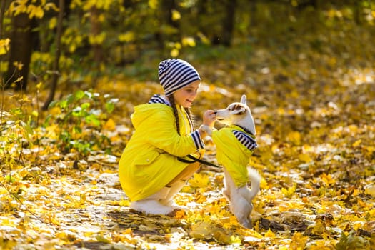 girl playing with her dog in autumn forest. Child and jack russell terrier dog.