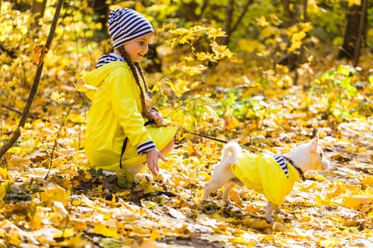 girl playing with her dog in autumn forest. Child and jack russell terrier dog.