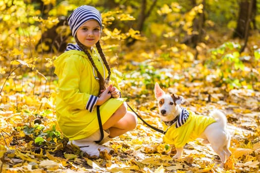 Girl with a dog jack russell terrier. Child, childhood, friendship and pet concept. Small dog walking in the autumn park.