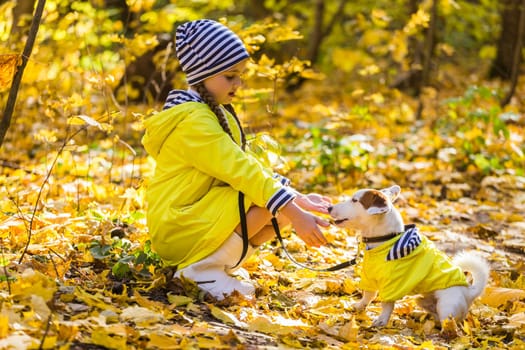 Girl with a dog jack russell terrier. Child, childhood, friendship and pet concept. Small dog walking in the autumn park.
