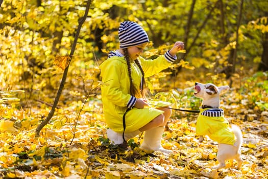 Child girl with dog outdoors. Kid with pet at autumn. Jack russell terrier puppy