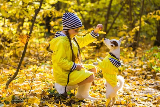 girl playing with her dog in autumn forest. Child and jack russell terrier dog.