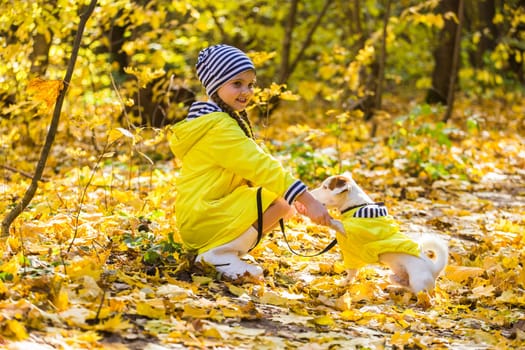 girl playing with her dog in autumn forest. Child and jack russell terrier dog.