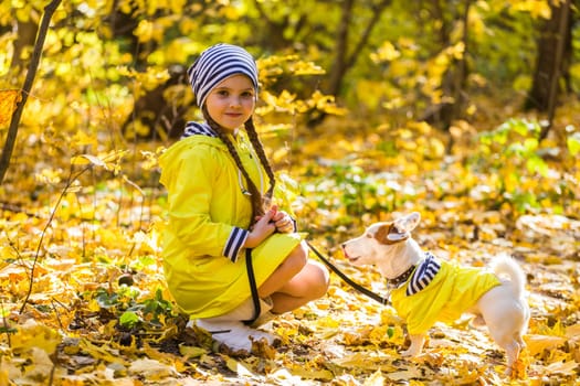 girl playing with her dog in autumn forest. Child and jack russell terrier dog.