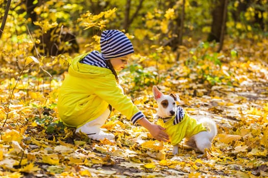 Portrait of a little girl on a background of orange and yellow leaves in an autumnal sunny day. Little puppy jack russell terrier. Pet and child concept.