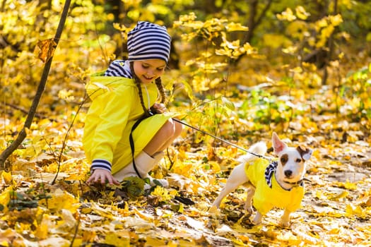 Child girl with dog outdoors. Kid with pet at autumn. Jack russell terrier puppy