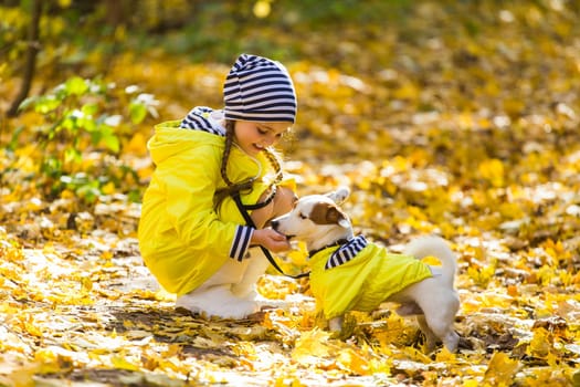 Child girl with dog outdoors. Kid with pet at autumn. Jack russell terrier puppy