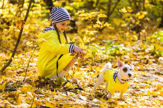 Girl with a dog jack russell terrier. Child, childhood, friendship and pet concept. Small dog walking in the autumn park.