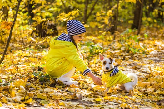 Child girl with dog outdoors. Kid with pet at autumn. Jack russell terrier puppy